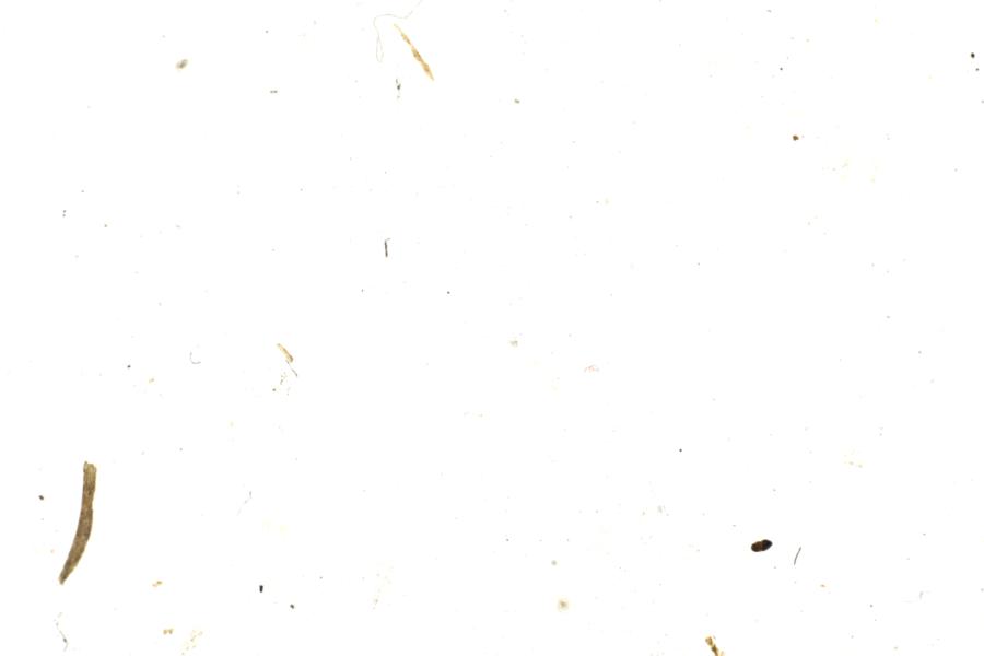 Image 216